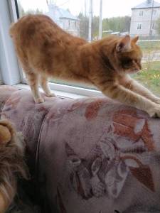 IMG_20240513_061704.thumb.jpg.f5af80506ff269a9d0224355a1969858.jpg