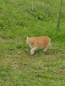 IMG_20240513_072354.thumb.jpg.accdbcc37b41f9d671137d6b38595e31.jpg