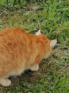 IMG_20240513_072905.thumb.jpg.5cb8a75531ffe8b610d1d887fd5c18e9.jpg