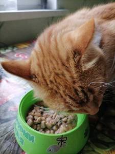 IMG_20240513_084903.thumb.jpg.58935dd96593ea13b945db8288bd50aa.jpg