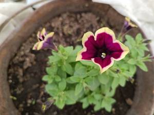 IMG_20240513_132348.jpg