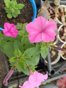IMG_20240513_132400.jpg