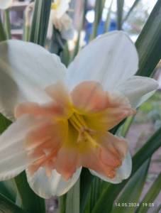 IMG_20240514_190537.jpg