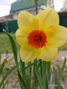 IMG_20240517_115050.jpg