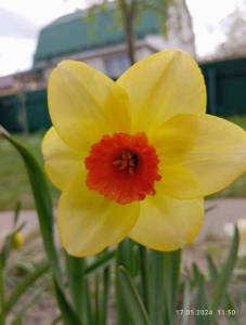 IMG_20240517_115053.jpg