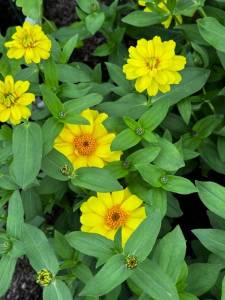 IMG_2575.jpeg