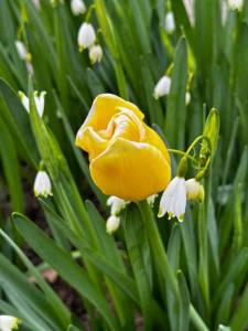 IMG_2576.jpeg