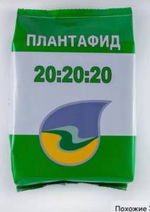 IMG_2585.jpeg