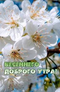 rupix_ru_6780.jpg