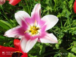 IMG_20240430_132044.jpg