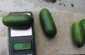 1.thumb.JPG.b481bd39e08d62d3a7f4a88a80efd647.JPG