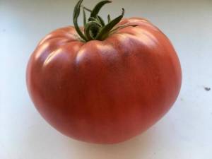 1292127851_1.thumb.jpeg.8c82fe5ca9dcbf3f9795b3344fa1478f.jpeg