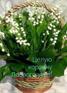 1864039536_WhatsApp2024-06-2007_43.17_55b4b7d4.thumb.jpg.185ceaa86e946937129af86120b18ccf.jpg