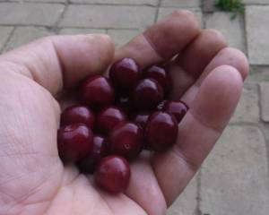 2.thumb.JPG.37b3b0429a4ae32f2c413f6987c10846.JPG