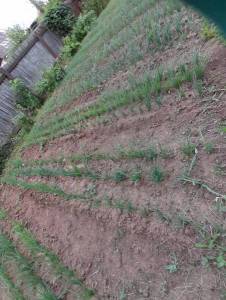 20240611_045151.thumb.jpg.d5680cbf2c5a65c07d009da3488e7e75.jpg