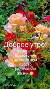 227618ac7411254190f653e901295379.thumb.jpg.5a2c9eef0eae5d266ff852d22151fc37.jpg