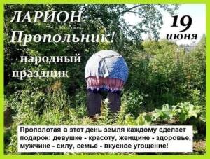 358B8B7F-AA26-4172-9FB7-1E7CA36F9FA9.thumb.jpeg.3c8b8f15751d852162877dc2fa68fb2f.jpeg