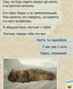 3TDAaO1HhQo.jpg