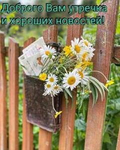 4978e4e2e627ce429d3d204ce0747d09.thumb.jpg.de126b63a72a6b7058a7043e633bcf48.jpg