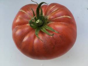 697357338_2.thumb.jpeg.1d2c2e79f6467a9c1622a96f0ba24f09.jpeg