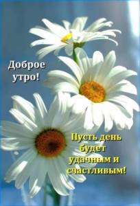 736592716_WhatsApp2024-06-1107_14.39_07205b84.thumb.jpg.95c9f284f4440eb899d497a15bd687ac.jpg
