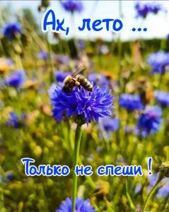 7e5ebe84222a0007151ba0575fbf2985.thumb.jpg.3564ee2e12810aa962c29c623dcdba64.jpg