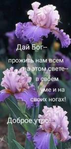 83bc7e66fa53cd30d792d22317b7d9cb.jpg