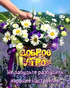959723.jpg