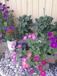 Compress_20240629_220514_4228.jpg