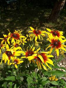 Compress_20240629_220910_0789.jpg