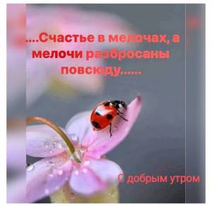 IMG-20240601-WA0000.thumb.jpg.6f8a874ba5aaec2c79e746a6956c3a8d.jpg