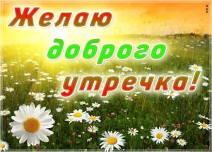IMG-20240605-WA0003.jpg