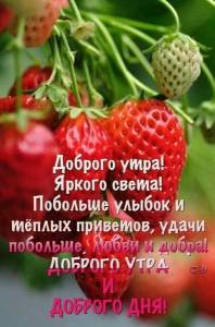 IMG-20240609-WA0032.jpg