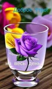 IMG-20240613-WA0021.jpg