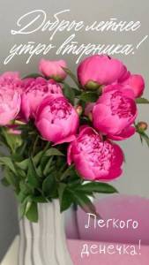 IMG-20240618-WA0000.jpg