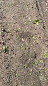 IMG-20240618-WA0339.jpeg