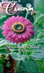 IMG-20240620-WA0000.jpg