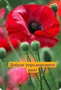 IMG-20240621-WA0013.jpg