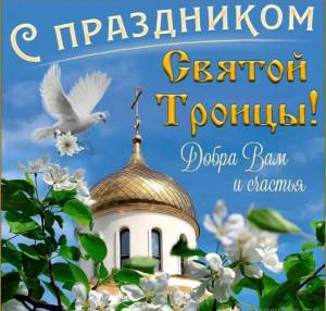 IMG-20240623-WA0000.jpg
