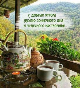 IMG-20240626-WA0000.jpg