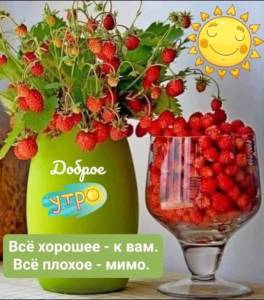 IMG-20240630-WA0006.jpg