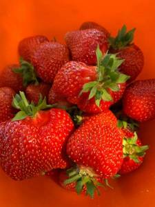 IMG_0348.thumb.JPG.d3f8e074494908304839e9c17d8babb1.JPG