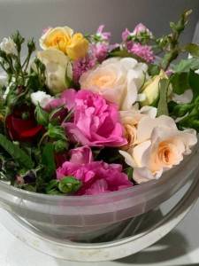 IMG_0362.thumb.JPG.18c652f93cf9f1dd2284756bc2c6afa2.JPG