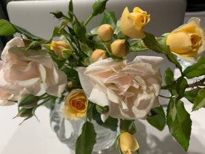 IMG_0372.thumb.JPG.c37a2905998f87823dc636384885612f.JPG