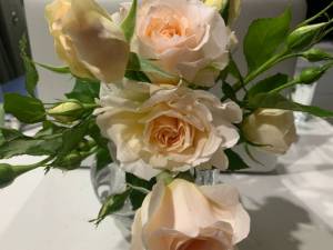 IMG_0375.thumb.JPG.3f6efb85c2a48087ce992326ac09734b.JPG
