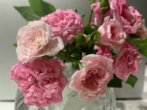 IMG_0376.thumb.JPG.df5b6611ad5453f627c8789456c21f7f.JPG