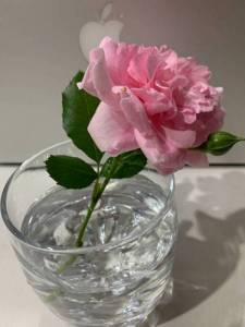 IMG_0378.thumb.JPG.952c0f72e24a3d9716a19e3157a3d806.JPG