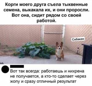 IMG_0542.thumb.jpeg.ad44b634d332c3e2dc6728018c7e59a4.jpeg