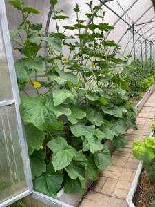 IMG_0679.jpeg
