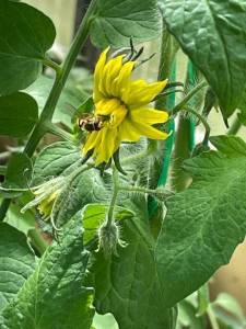 IMG_0684.jpeg